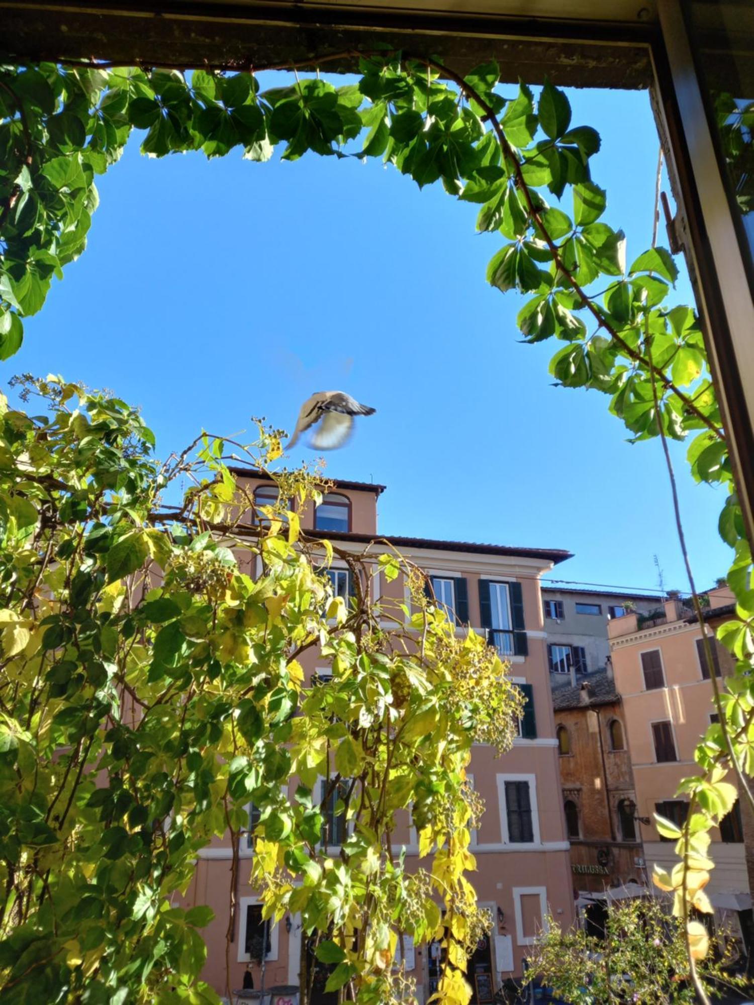 Central Apartment In Trastevere Рим Стая снимка
